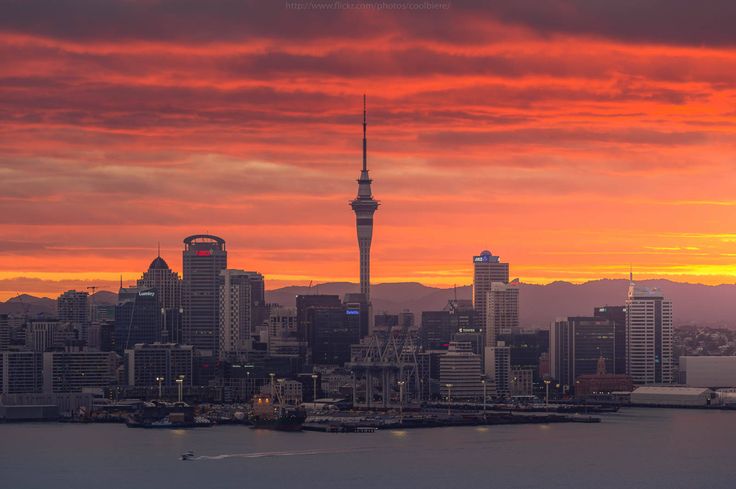 NZ2015-69_jpg