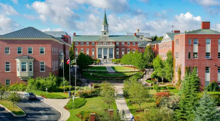 The Best Online Universities In Canada 2024